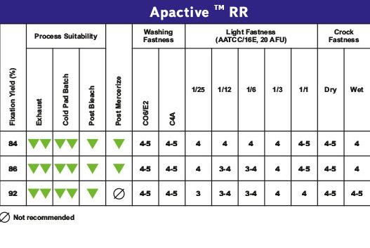 Apactive RR.cdr